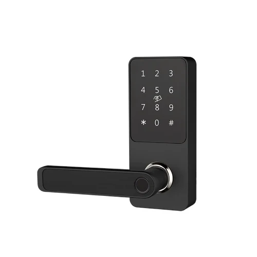 ჭკვიანი საკეტი F2219 Handle Smart Lock