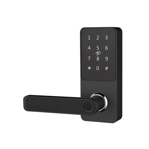 ჭკვიანი საკეტი F2219 Handle Smart Lock - 2