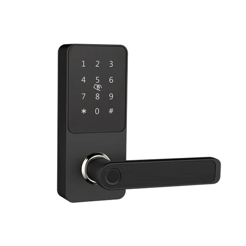 ჭკვიანი საკეტი F2219 Handle Smart Lock - 3
