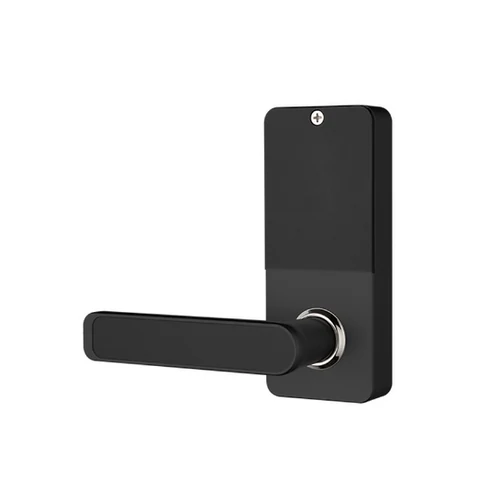 ჭკვიანი საკეტი F2219 Handle Smart Lock - 4