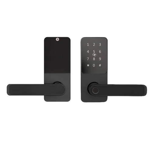 ჭკვიანი საკეტი F2219 Handle Smart Lock - 6