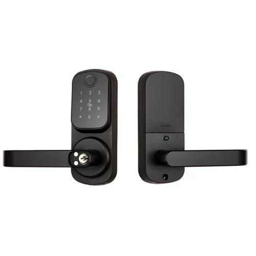 ჭკვიანი საკეტი F2309 Handle Smart Lock
