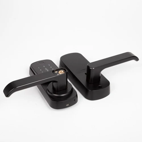 ჭკვიანი საკეტი F2309 Handle Smart Lock - 3