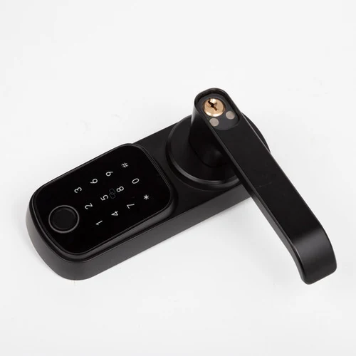 ჭკვიანი საკეტი F2309 Handle Smart Lock - 4